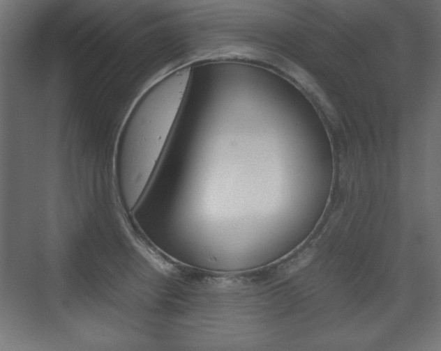 X0000074311234200608250956