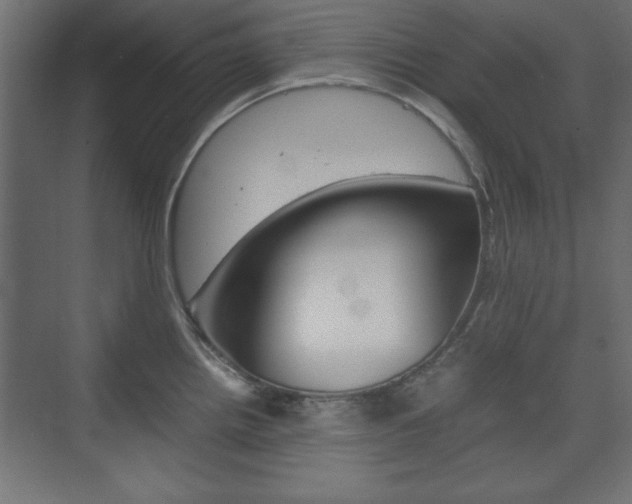 X0000074311242200608250956