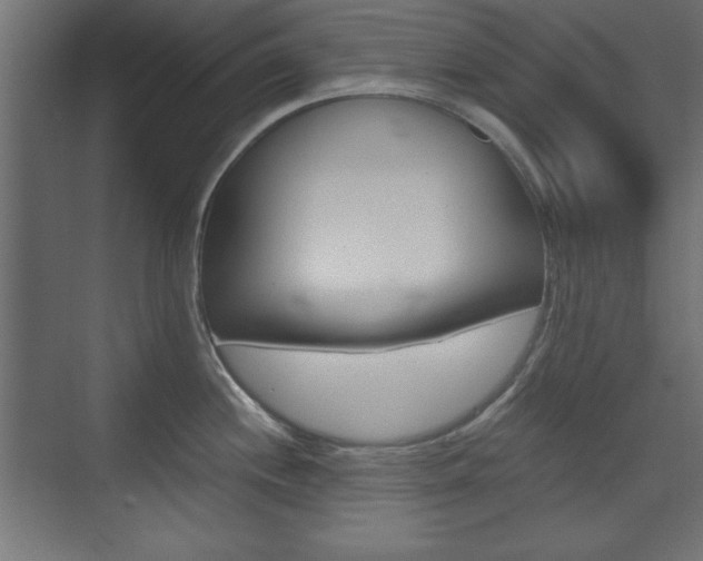 X0000074311244200608250956