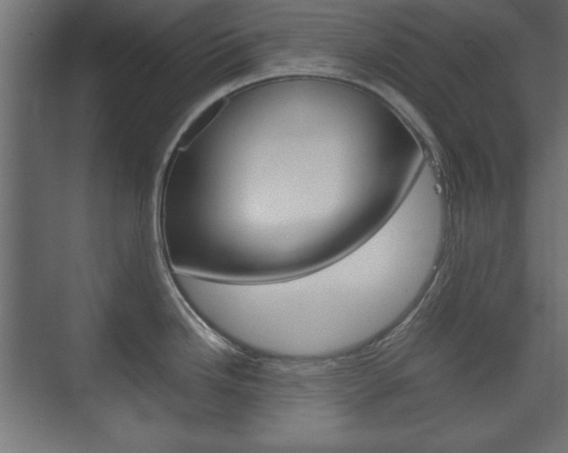 X0000074311246200608250956