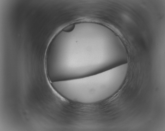 X0000074311247200608250956