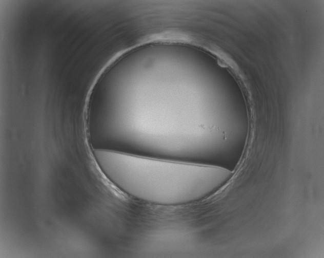 X0000074311248200608250956