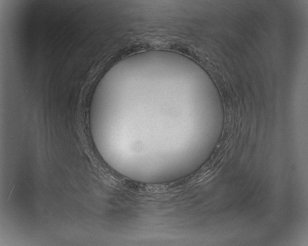 X0000074311249200608250956