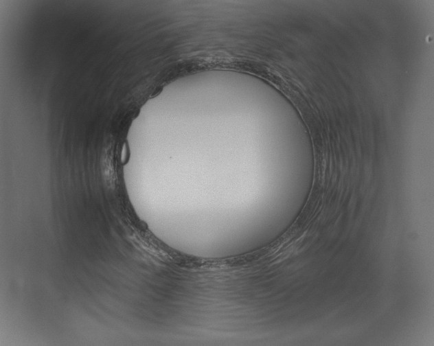 X0000074311250200608250956