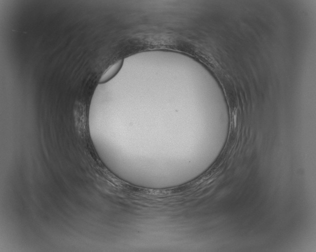 X0000074311251200608250956