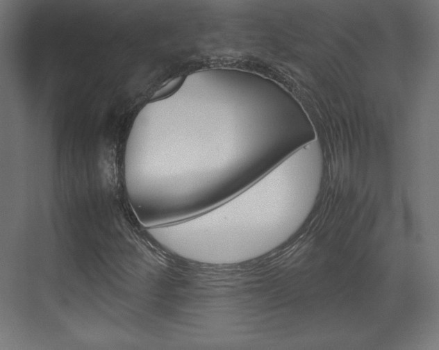 X0000074311252200608250956