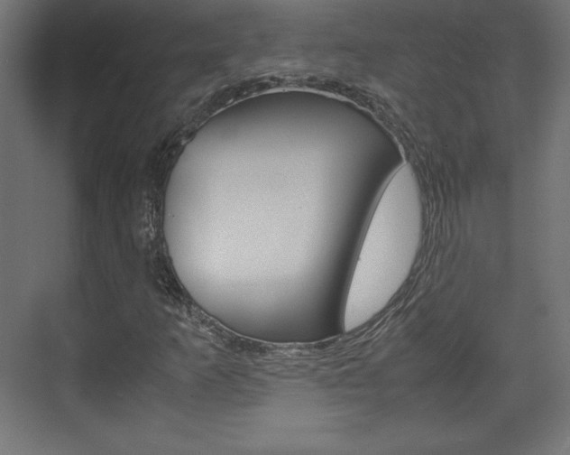 X0000074311253200608250956
