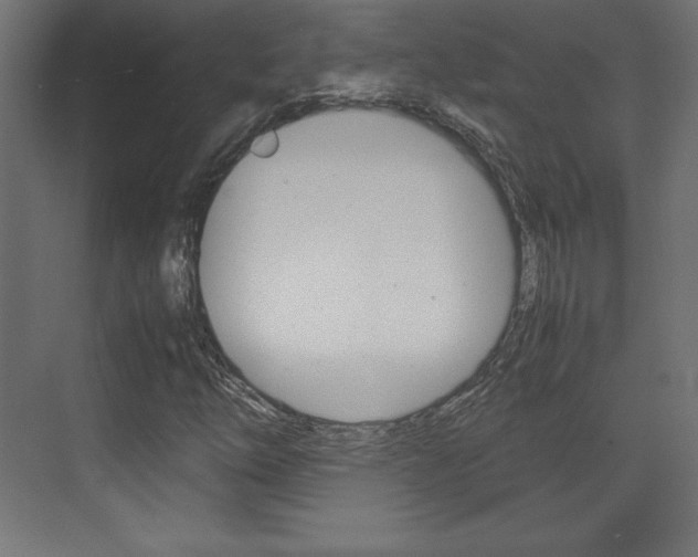 X0000074311254200608250955