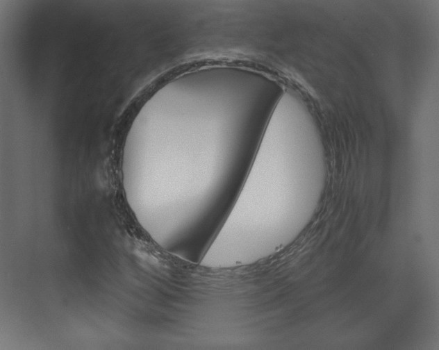X0000074311256200608250955