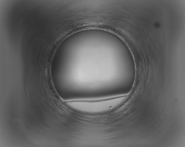 X0000074311257200608250955