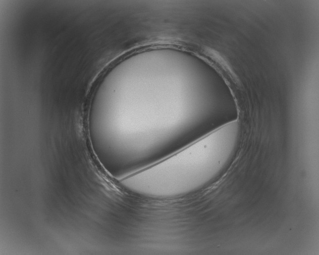 X0000074311260200608250955
