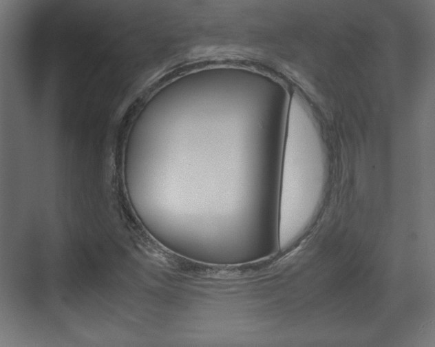 X0000074311261200608250955