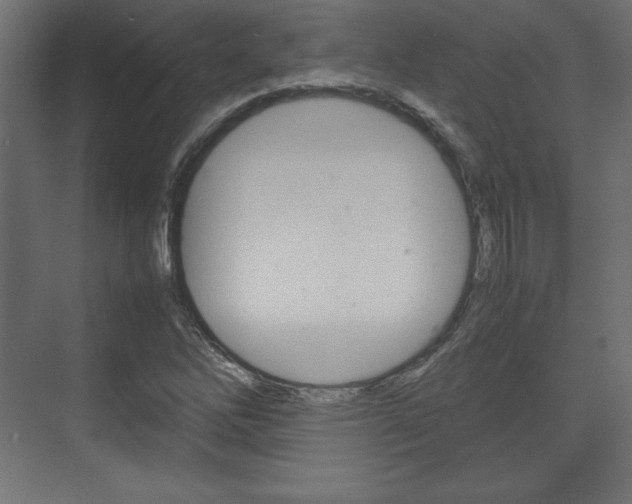 X0000074311262200608250955