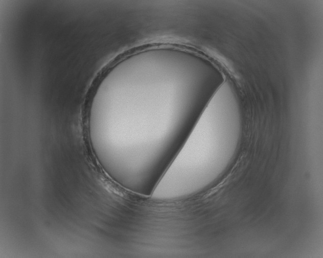 X0000074311264200608250955