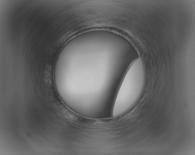 X0000074311265200608250955