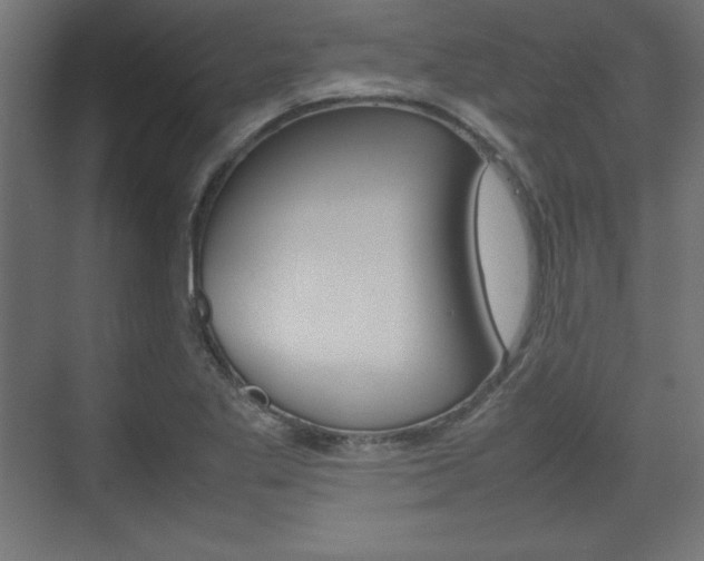 X0000074311269200608250955