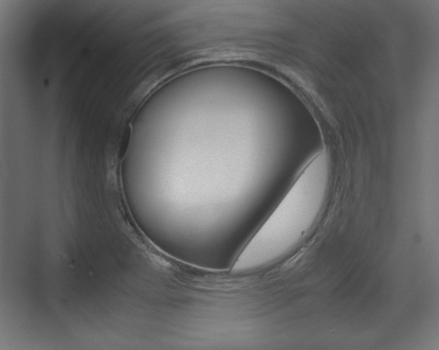 X0000074311273200608250955