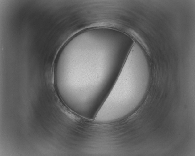 X0000074311276200608250955
