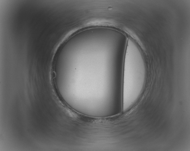 X0000074311277200608250955