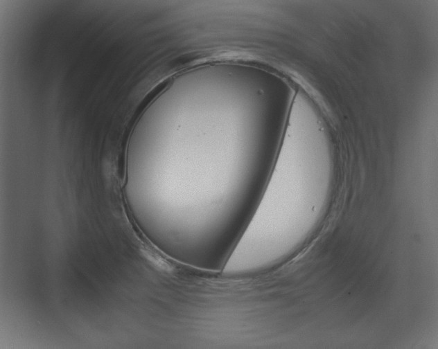 X0000074311281200608250955