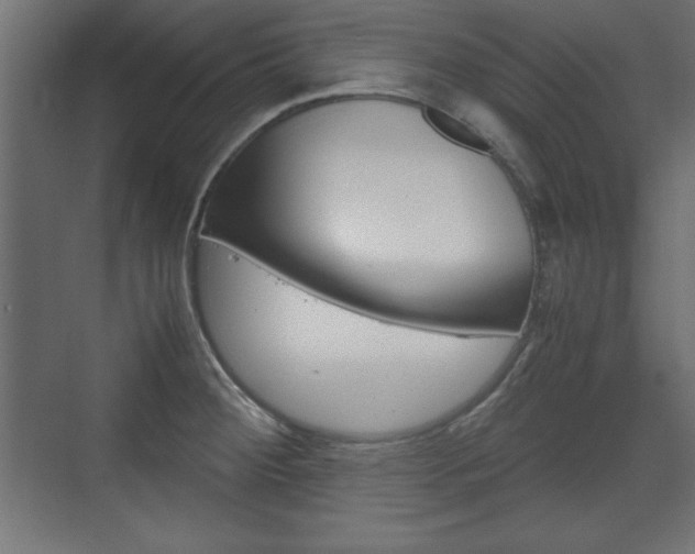 X0000074311284200608250955