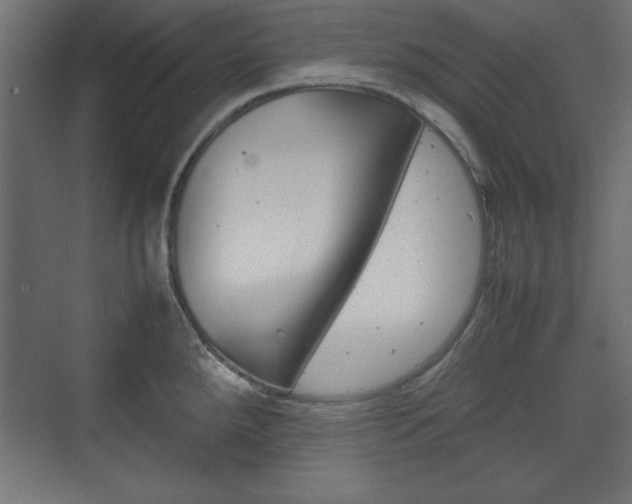 X0000074311288200608250955