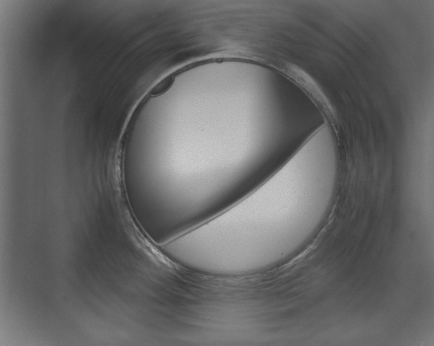 X0000074311292200608250955