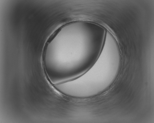 X0000074311293200608250955