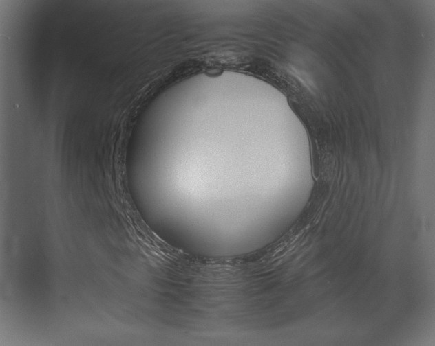 X0000074311297200608250954