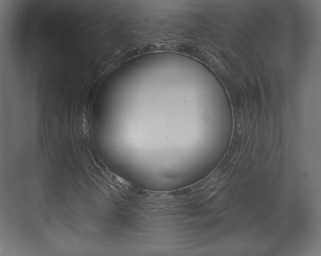 X0000074311298200608250954