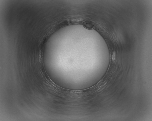 X0000074311299200608250954