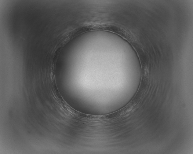 X0000074311300200608250954
