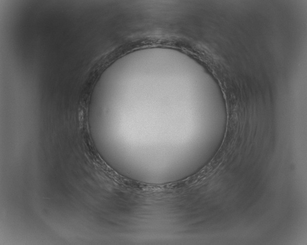X0000074311302200608250954