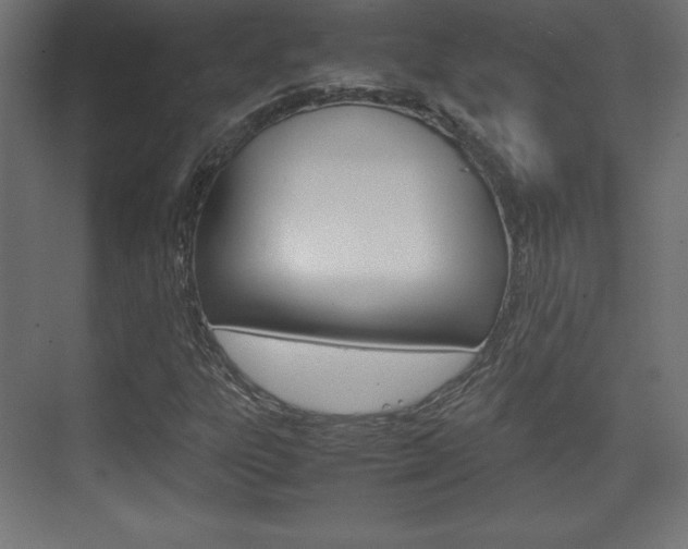 X0000074311303200608250954