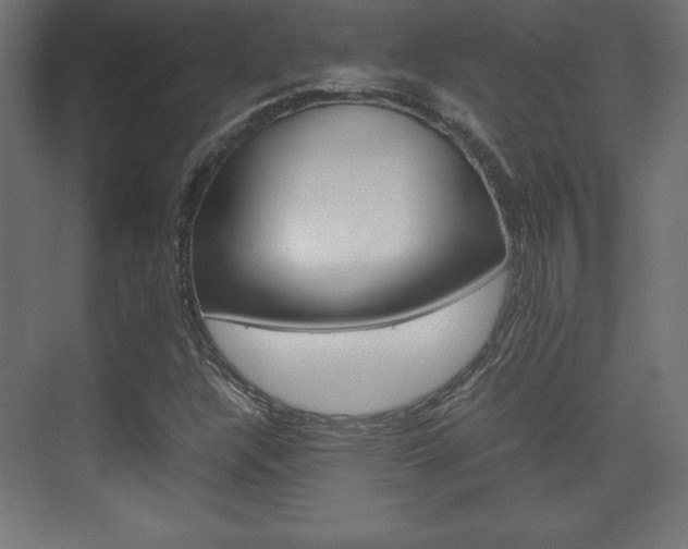 X0000074311304200608250954