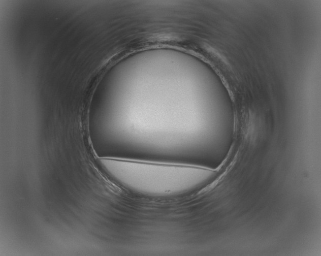X0000074311305200608250954