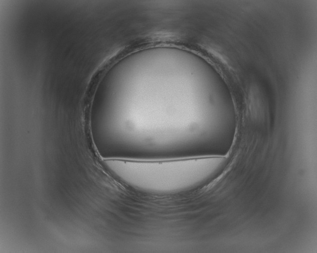 X0000074311309200608250954