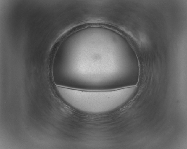 X0000074311311200608250954