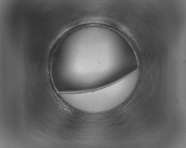 X0000074311312200608250954