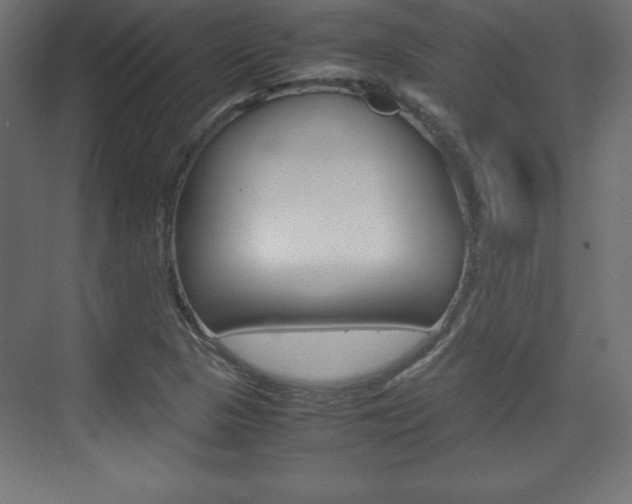 X0000074311313200608250954