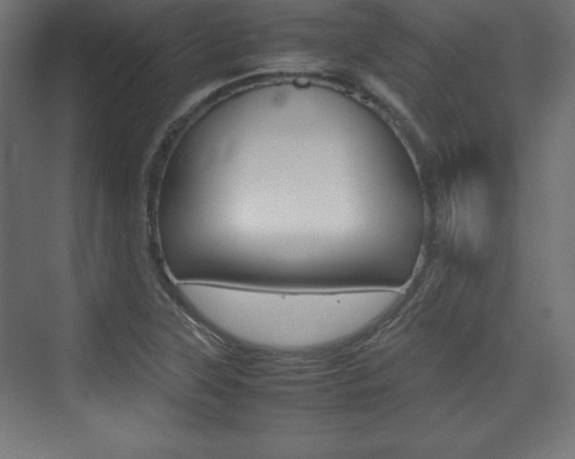 X0000074311315200608250954