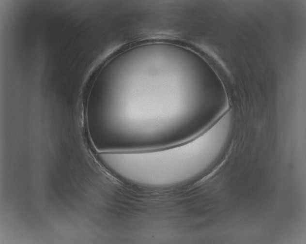 X0000074311317200608250954