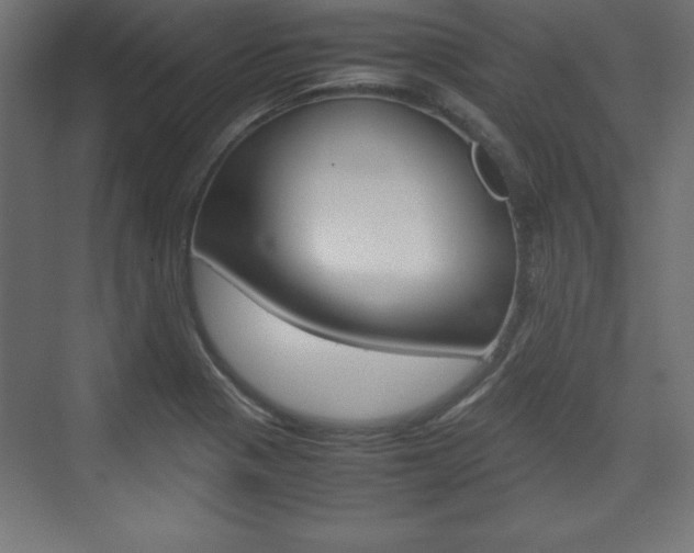 X0000074311321200608250954