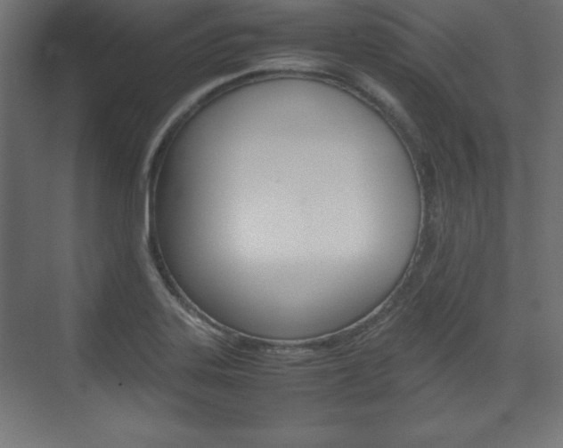 X0000074311323200608250954