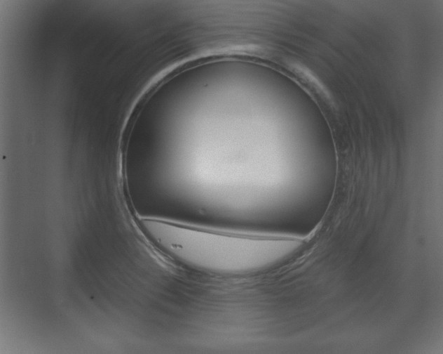X0000074311324200608250954