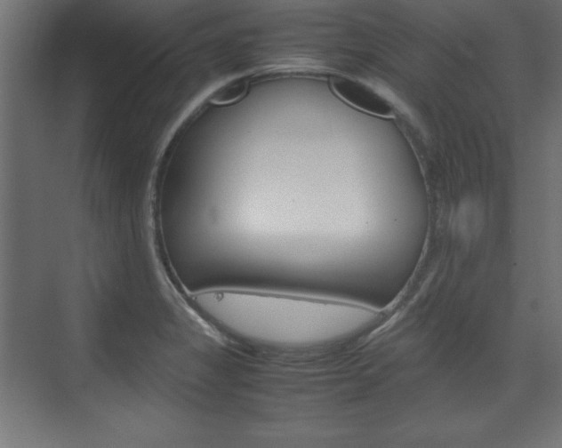 X0000074311325200608250954