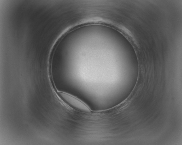 X0000074311326200608250954