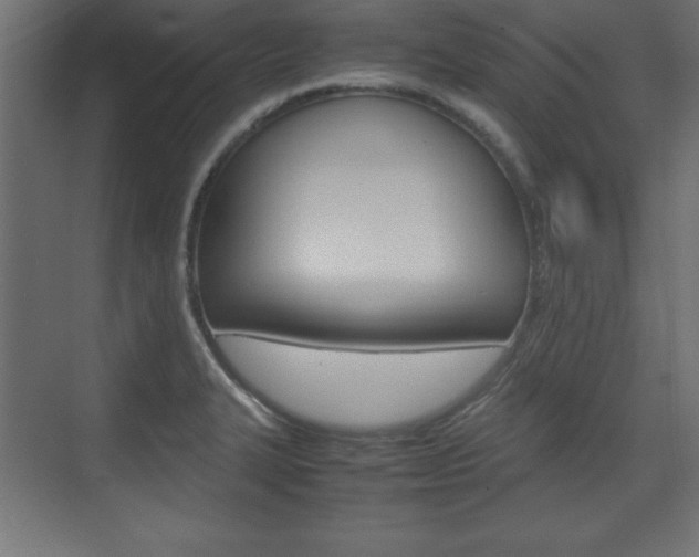 X0000074311327200608250954