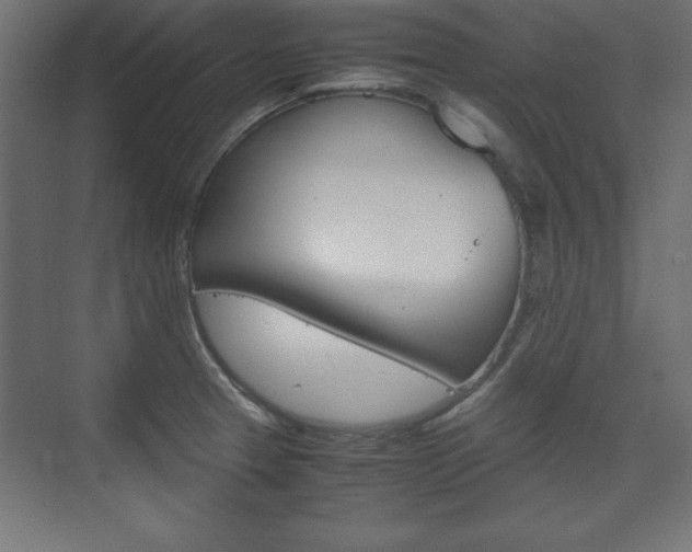 X0000074311329200608250955