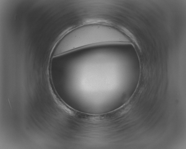 X0000074311330200608250955
